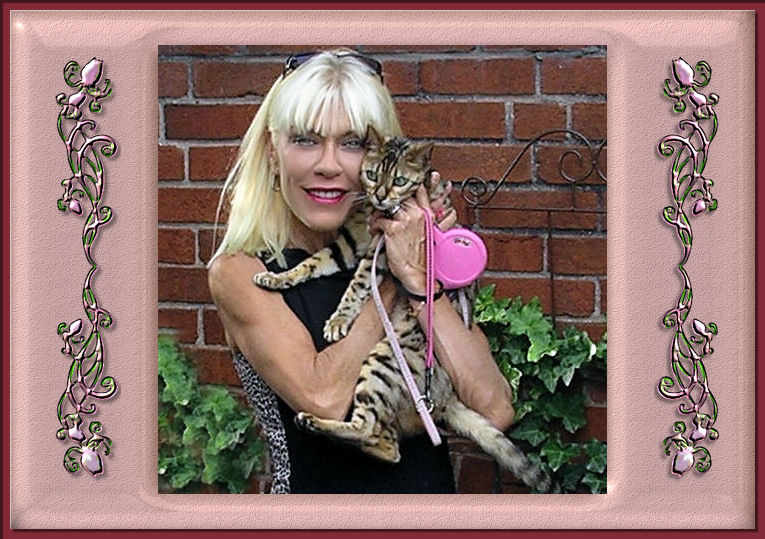 Bengal Cat Lucy and Susan Law