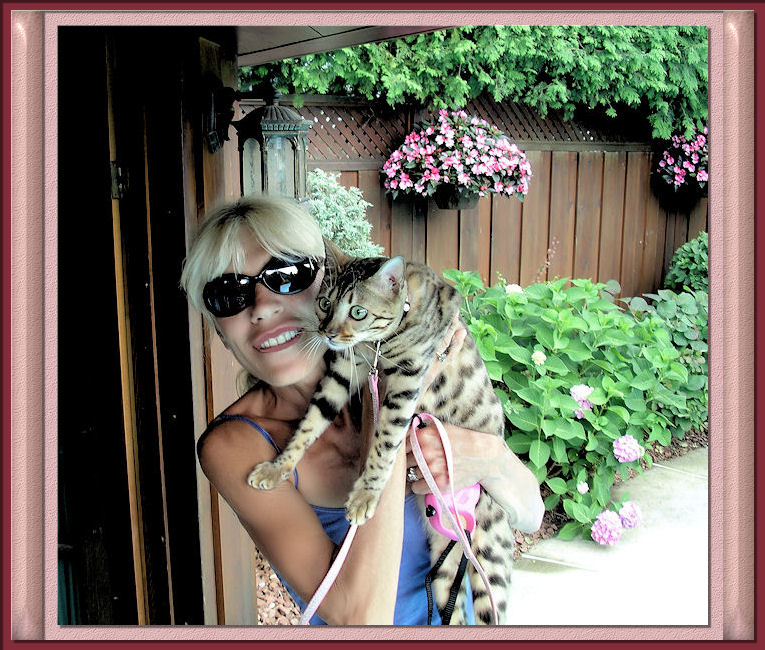 Bengal Cat Lucy Law Being Held Outdoors for her Photo Opportunity