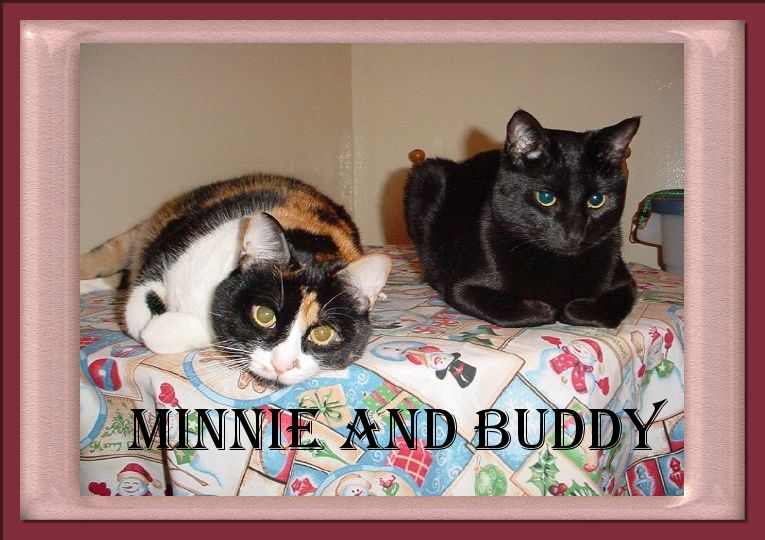 Minnie and Buddy