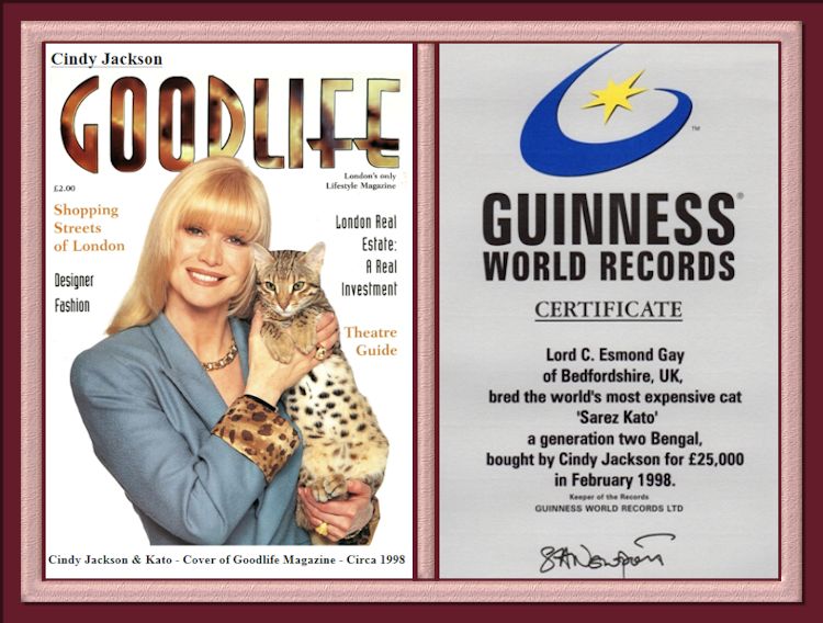 Guinness World Records Certificate Most Expensive Bengal Cat Cato and Cindy Jackson
