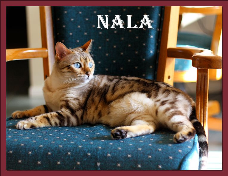 Nala