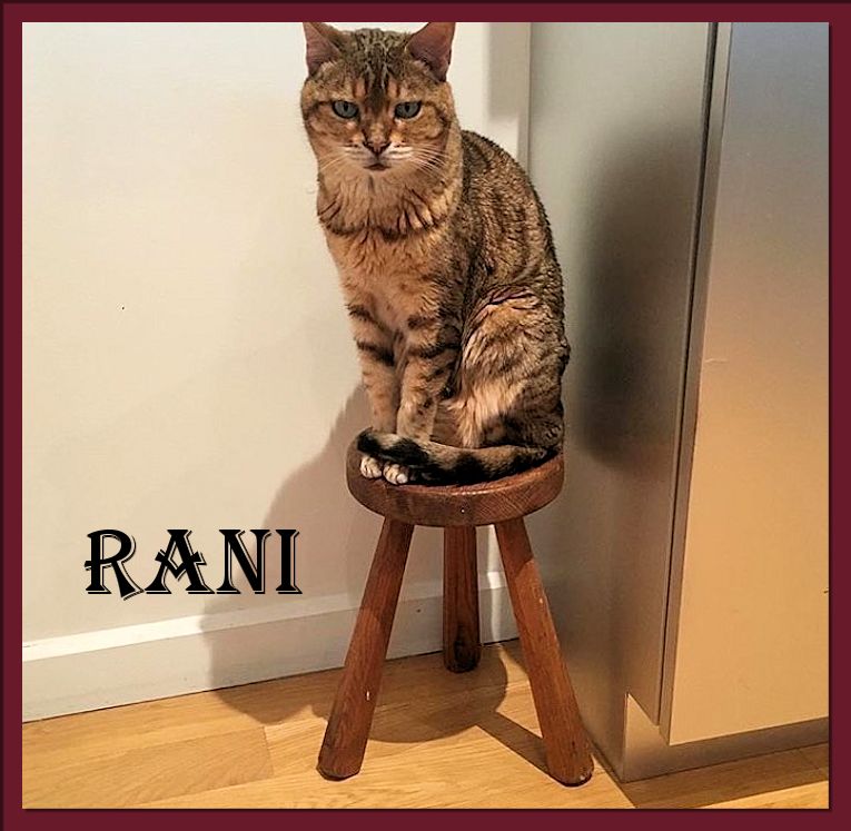 Rani